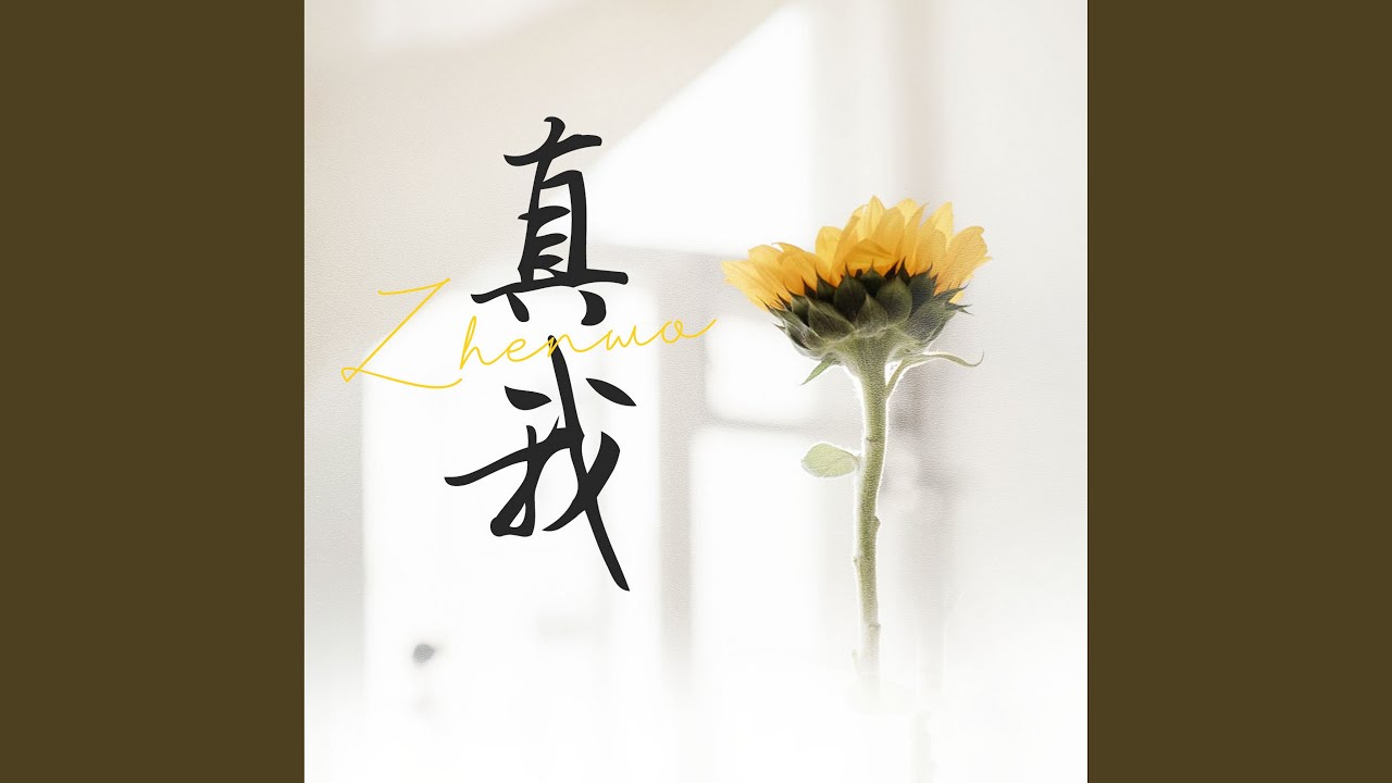 時空藝廊奇遇:解碼譚卓個人資料長相超美背后的熒幕魅力