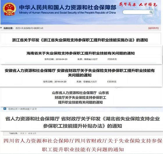 免費公開資料大全:深度解析與高效利用的全攻略