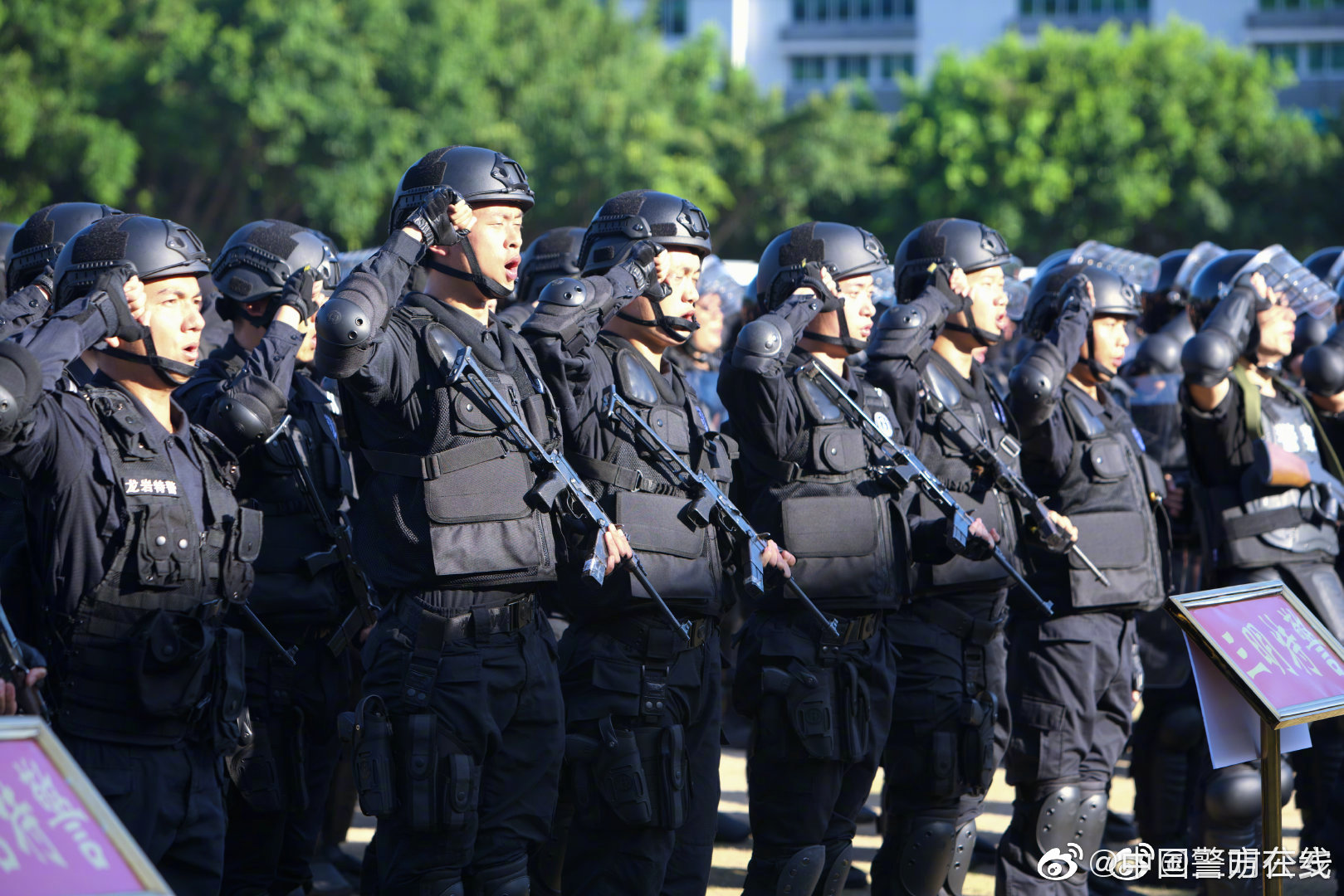 夜幕下的對(duì)話：探秘中國(guó)人民武裝警察部隊(duì)特種警察學(xué)院難考嗎的真相