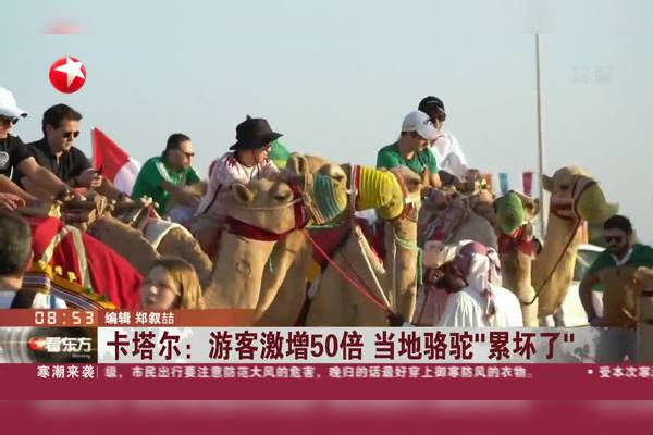 2025年新澳門全年免費(fèi)政策：聚光燈下的城市發(fā)展博弈與輿論爭議