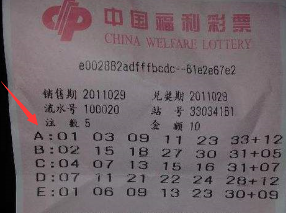探秘王中王493333中特馬特色：數(shù)字謎團(tuán)的邊境對(duì)話