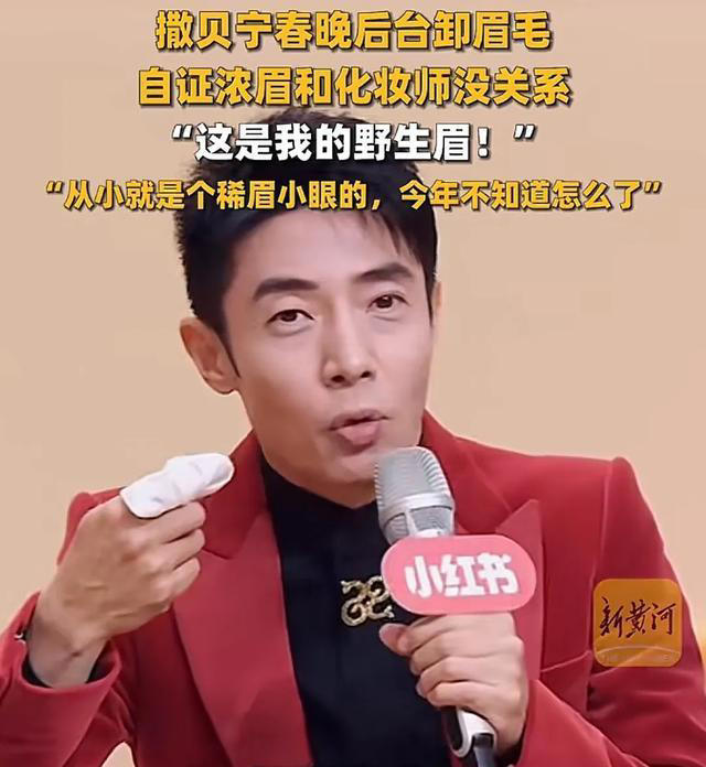 演員文晴:深度解析實(shí)力派的演藝之路與熒幕魅力