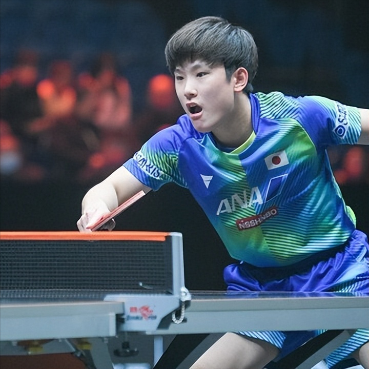 張本智何個人資料簡介及深度解析:從少年天才到世界頂級選手全攻略
