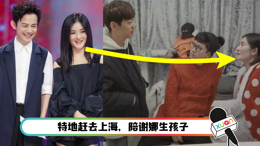 謝娜生了幾個寶寶是男是女？深度解析其幸福家庭的秘密與育兒點滴