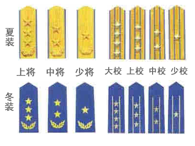 儀仗隊(duì)軍銜圖片大全:從士兵到將軍的榮譽(yù)之路深度解析