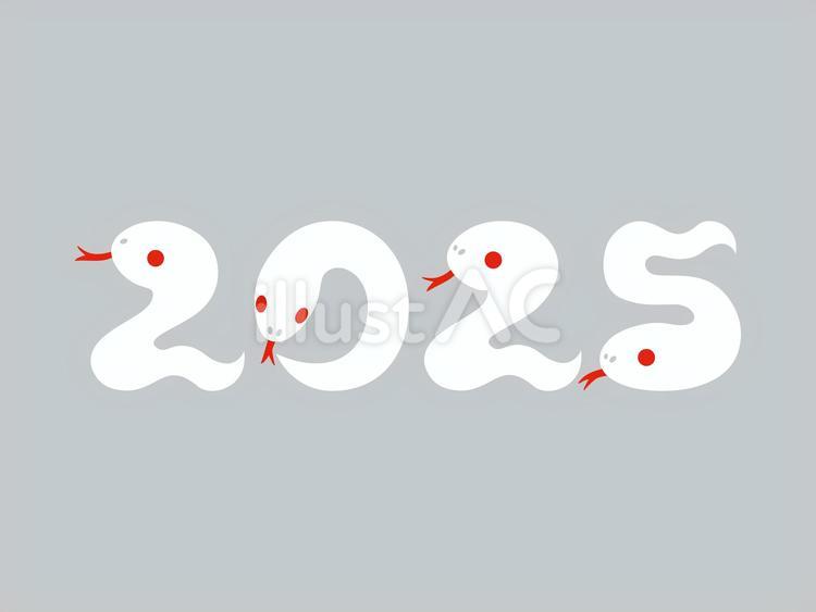 2025白小姐開獎結果查詢全攻略：官方渠道與防騙指南深度解析