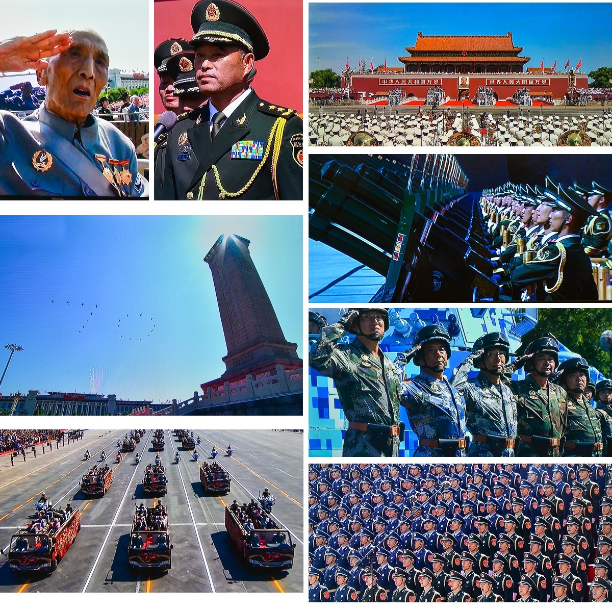 瑪?shù)鹿埠蛧啽鴪D片:深度解析國家象征與軍事風(fēng)采的全攻略
