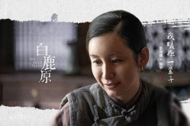 秦海璐演過哪些電視劇深度解析：盤點其經(jīng)典代表作與多樣化熒屏形象