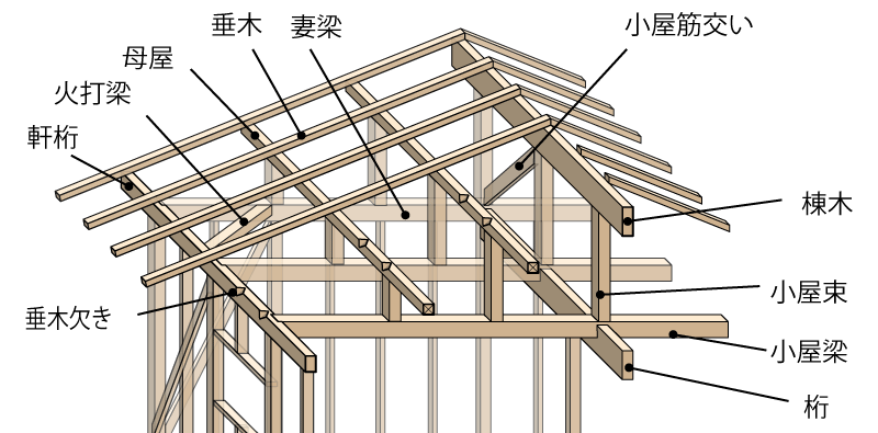 梁靖昆個人資料深度解析:國乒硬核實(shí)力派的成長之路