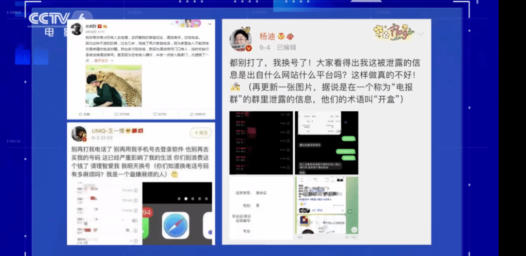 深度解析：趙子琪的爺爺是誰？探究公眾人物家庭信息背后的隱私與求知欲