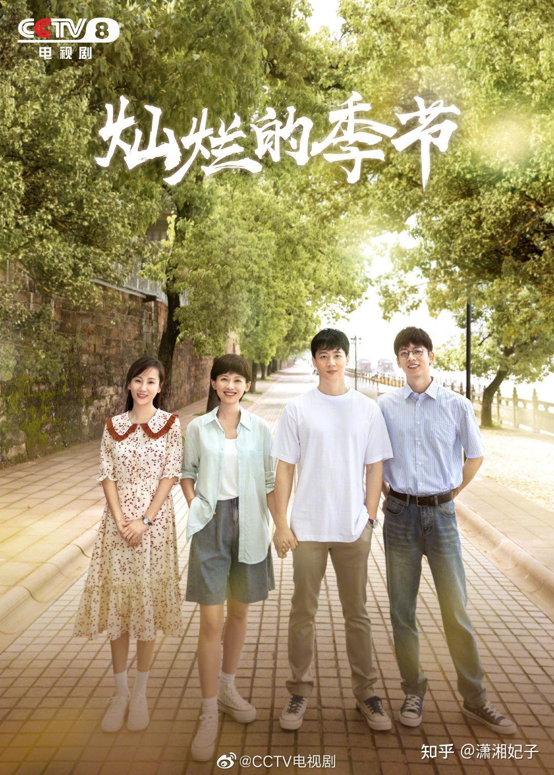 光影對話：探秘《燦爛的季節(jié)2022》演員表介紹與角色之魂
