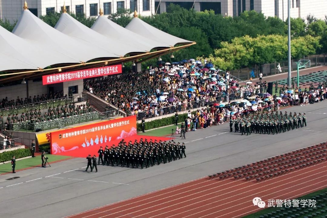 街角咖啡館里的思辨：中國(guó)人民武裝警察部隊(duì)特種警察學(xué)院出來(lái)是公務(wù)人員嗎？
