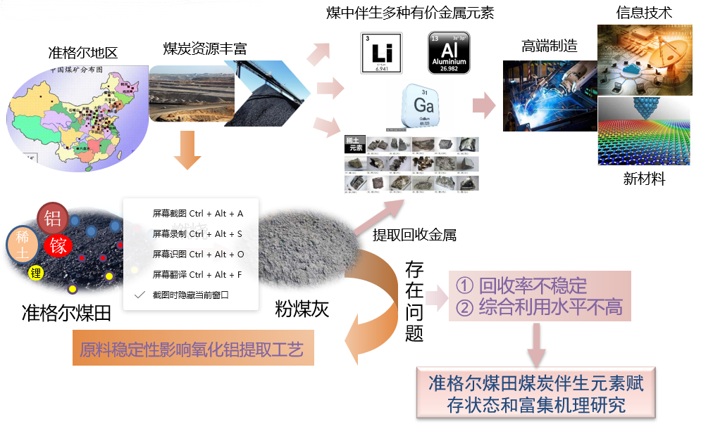 王中王493333中特大全：權(quán)威解讀與深度應(yīng)用全攻略