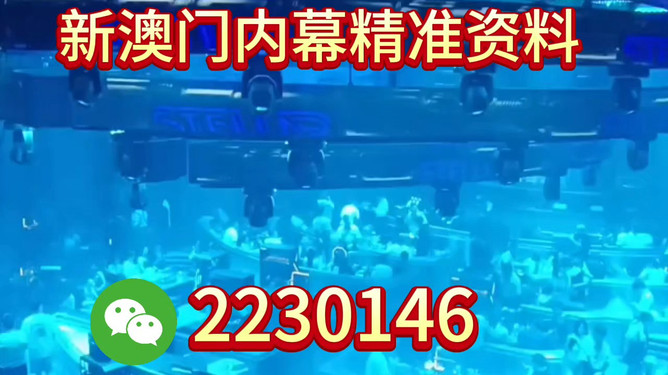 新奧2025今晚開獎(jiǎng)資料詳解，新奧2025今晚開獎(jiǎng)資料全面解析