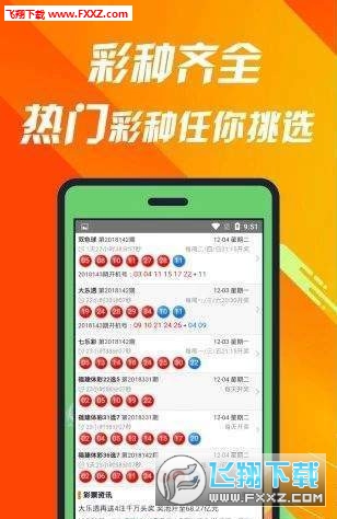 王中王493333中特大全揭秘，王中王493333揭秘特大大全內(nèi)幕
