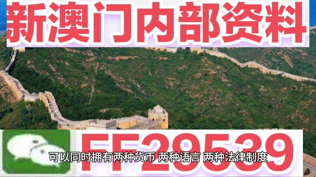 新澳門今晚開獎結(jié)果號碼查詢表，探索彩票世界的神秘面紗，新澳門今晚開獎結(jié)果號碼查詢表，揭開彩票世界的神秘面紗