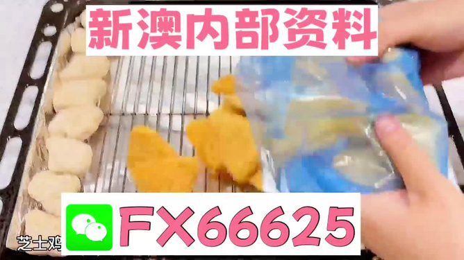 新奧長期免費資料大全，探索與收獲，新奧長期免費資料大全，探索之旅與收獲的時刻