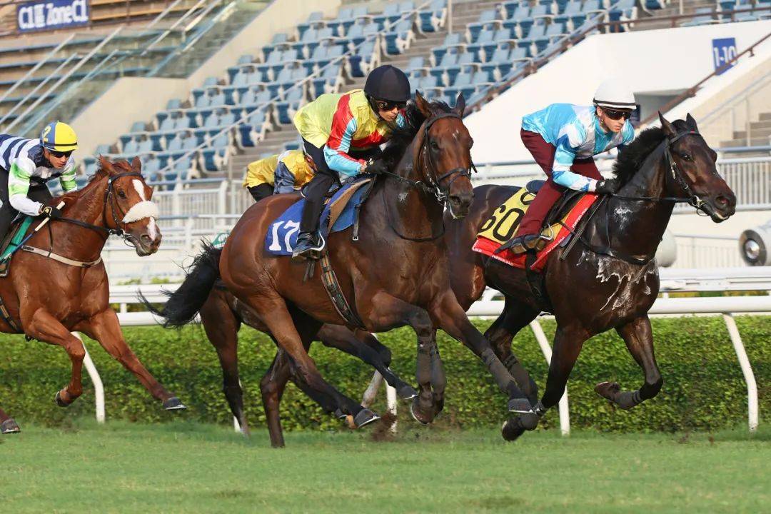香港馬，77777與88888的傳奇故事，香港賽馬傳奇，77777與88888的傳奇篇章
