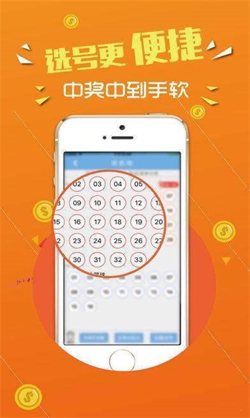 王中王心水論壇，探索智慧之源的聚集地，王中王心水論壇，智慧之源的聚集地探索