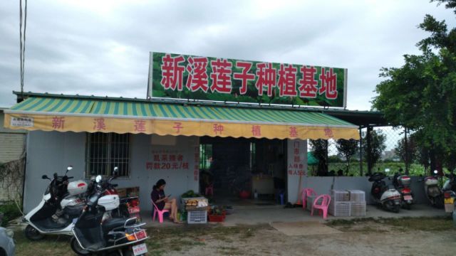 新溪門(mén)免費(fèi)資料大全，探索與收獲，新溪門(mén)免費(fèi)資料探索之旅，收獲與成長(zhǎng)
