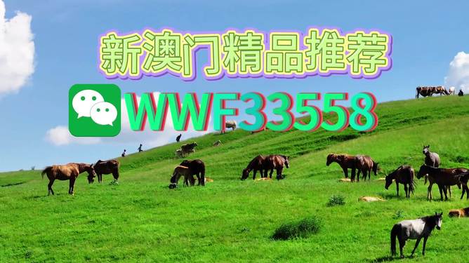 揭秘精準(zhǔn)四生肖，探尋數(shù)字組合77777與88888背后的奧秘，揭秘精準(zhǔn)四生肖與神秘?cái)?shù)字組合77777與88888的奧秘探索