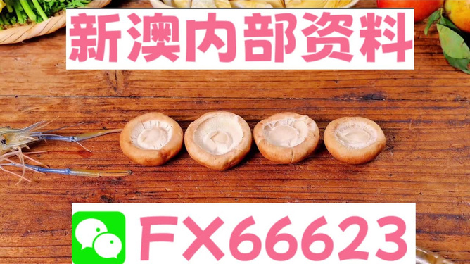 新澳全年免費(fèi)資料大全，探索與收獲，新澳全年免費(fèi)資料大全，探索之旅與收獲的時(shí)刻