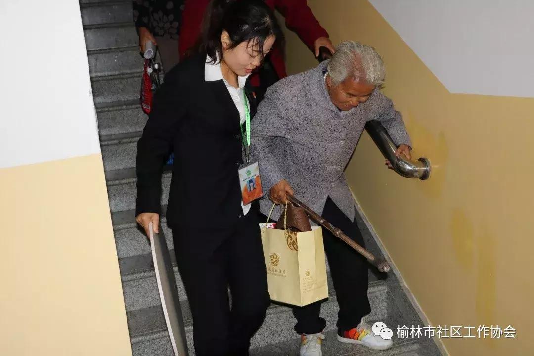 天天免費(fèi)資料彩票大全，探索彩票世界的奧秘與機(jī)遇，天天免費(fèi)資料彩票大全，揭秘彩票世界的奧秘與機(jī)遇