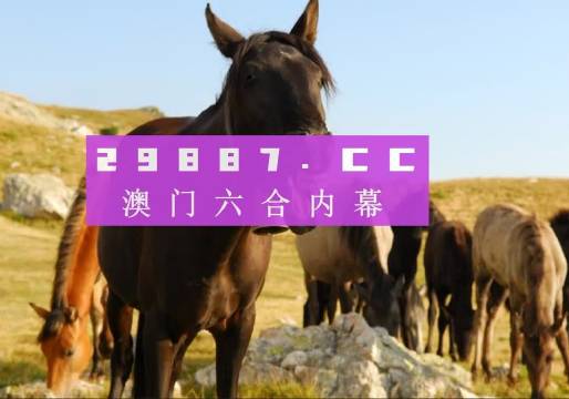 新澳門(mén)管家婆一特一中，探索現(xiàn)代博彩管理的典范，現(xiàn)代博彩管理典范，澳門(mén)管家婆一特一中探索之路