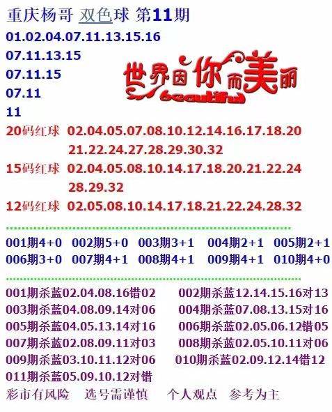 新門(mén)內(nèi)部資料大全免費(fèi)查詢(xún)，探索與啟示，新門(mén)內(nèi)部資料免費(fèi)探索，啟示與大全查詢(xún)
