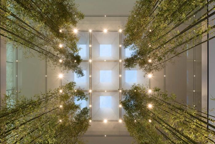 新澳門內(nèi)部精準公開的多元發(fā)展與活力展望，澳門多元發(fā)展的活力展望與內(nèi)部精準公開新動向