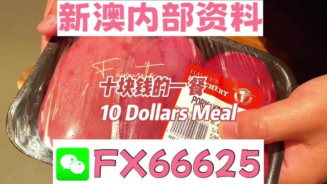探索未來，揭秘2025新奧精準正版資料的價值與影響，揭秘未來之門，2025新奧精準正版資料的價值與影響探索