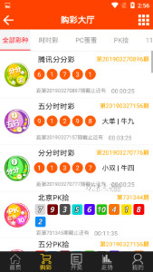 揭秘493333王中王中的開獎(jiǎng)特色，揭秘493333王中王彩票開獎(jiǎng)特色
