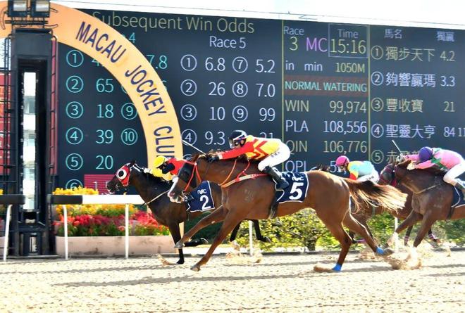 澳門馬免費(fèi)料期期公開，探索背后的真相與意義，澳門馬免費(fèi)料期期公開背后的真相與意義探索