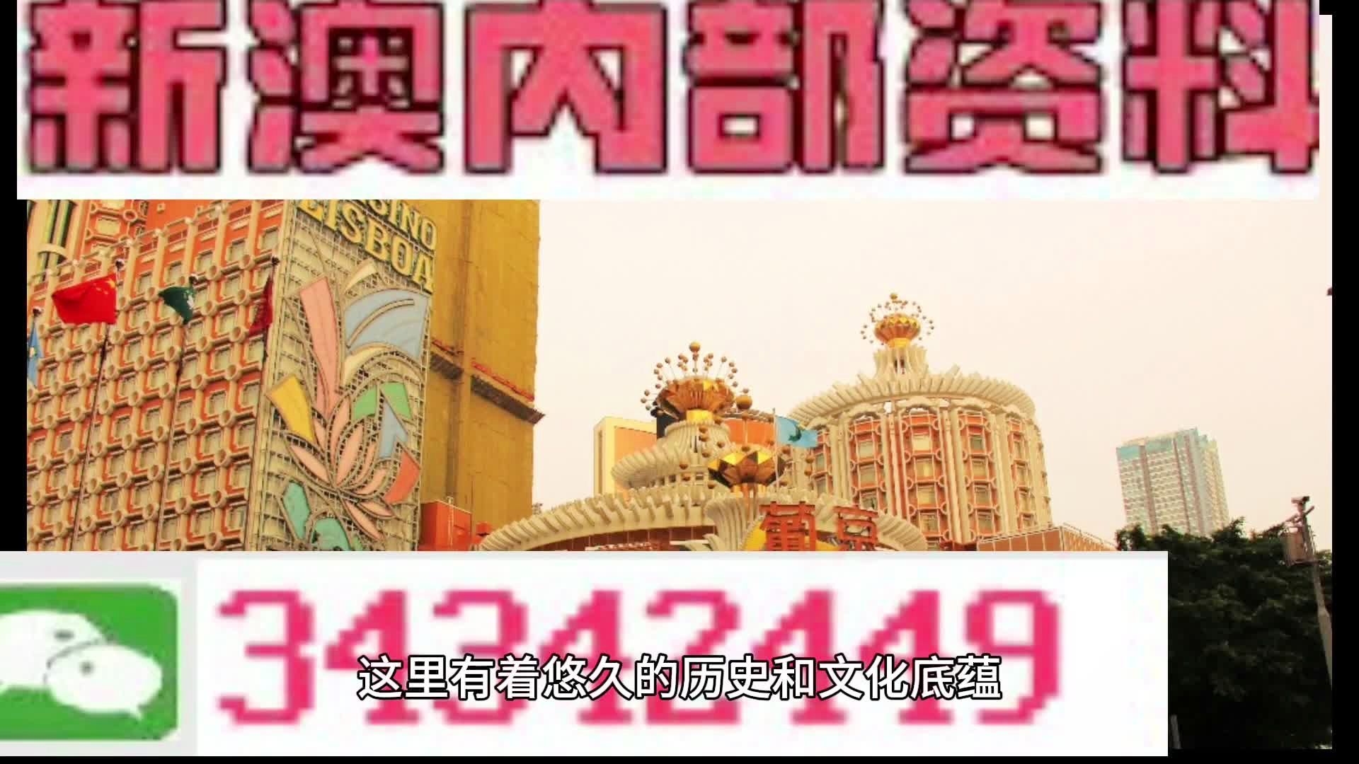 新門內(nèi)部免費(fèi)資料大全，探索與啟示，新門內(nèi)部資料探索與啟示，免費(fèi)資料大全