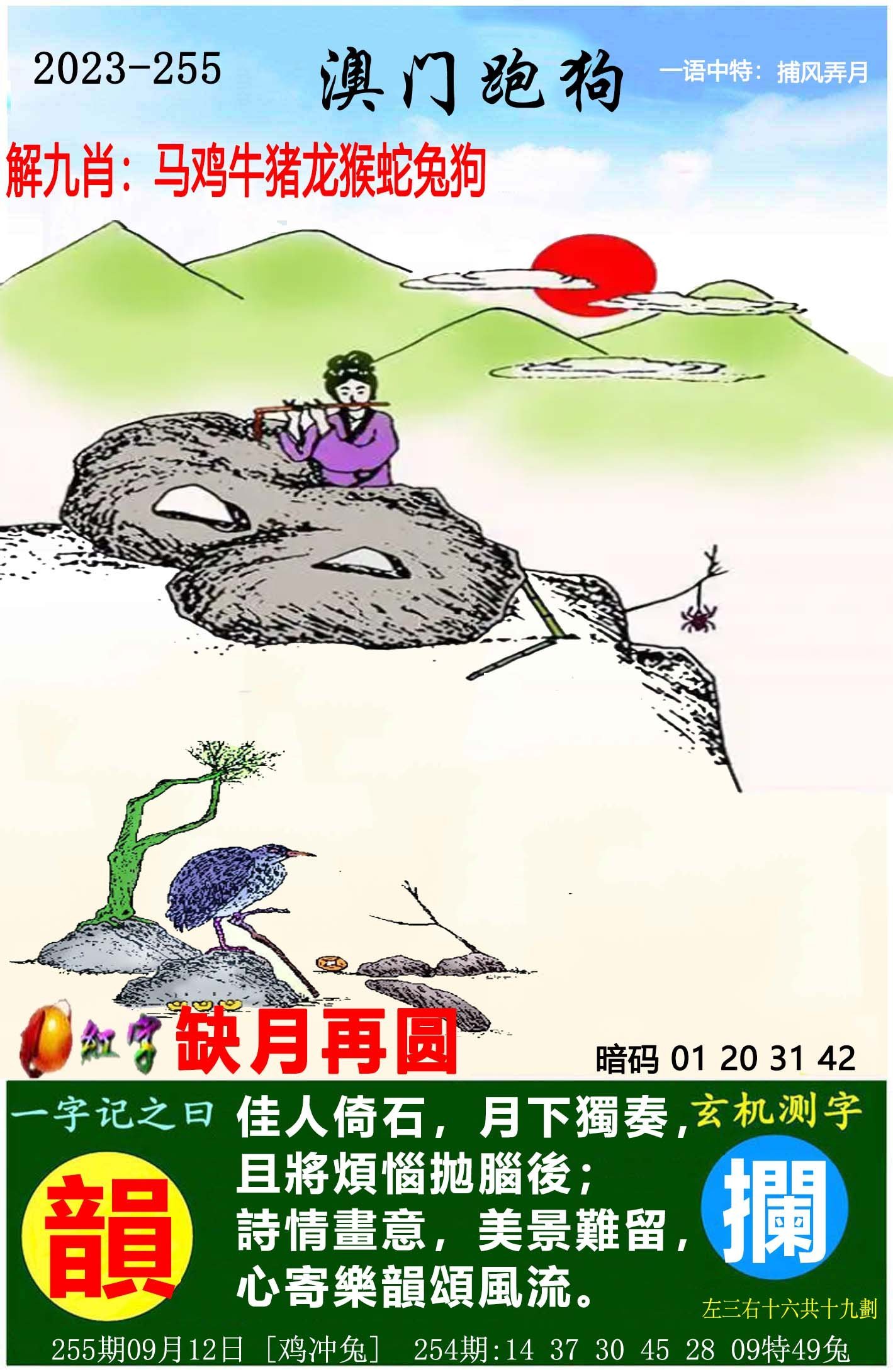 深度解析與預(yù)測(cè)