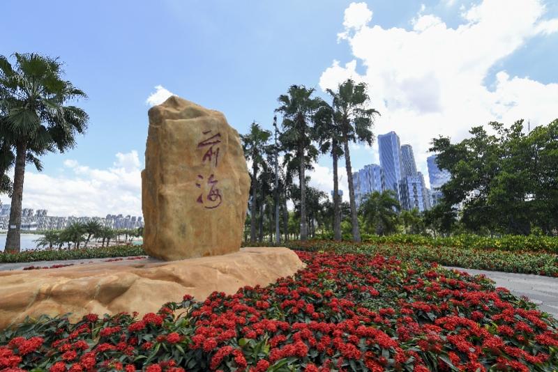 新澳門內(nèi)部精準公開，探索與解讀，澳門內(nèi)部精準解讀，探索與揭秘