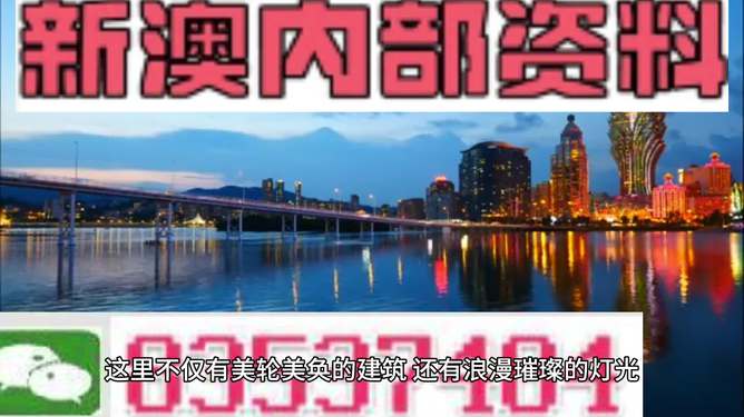 新澳新澳門正版資料的深度解析，澳門正版資料深度解析與解讀