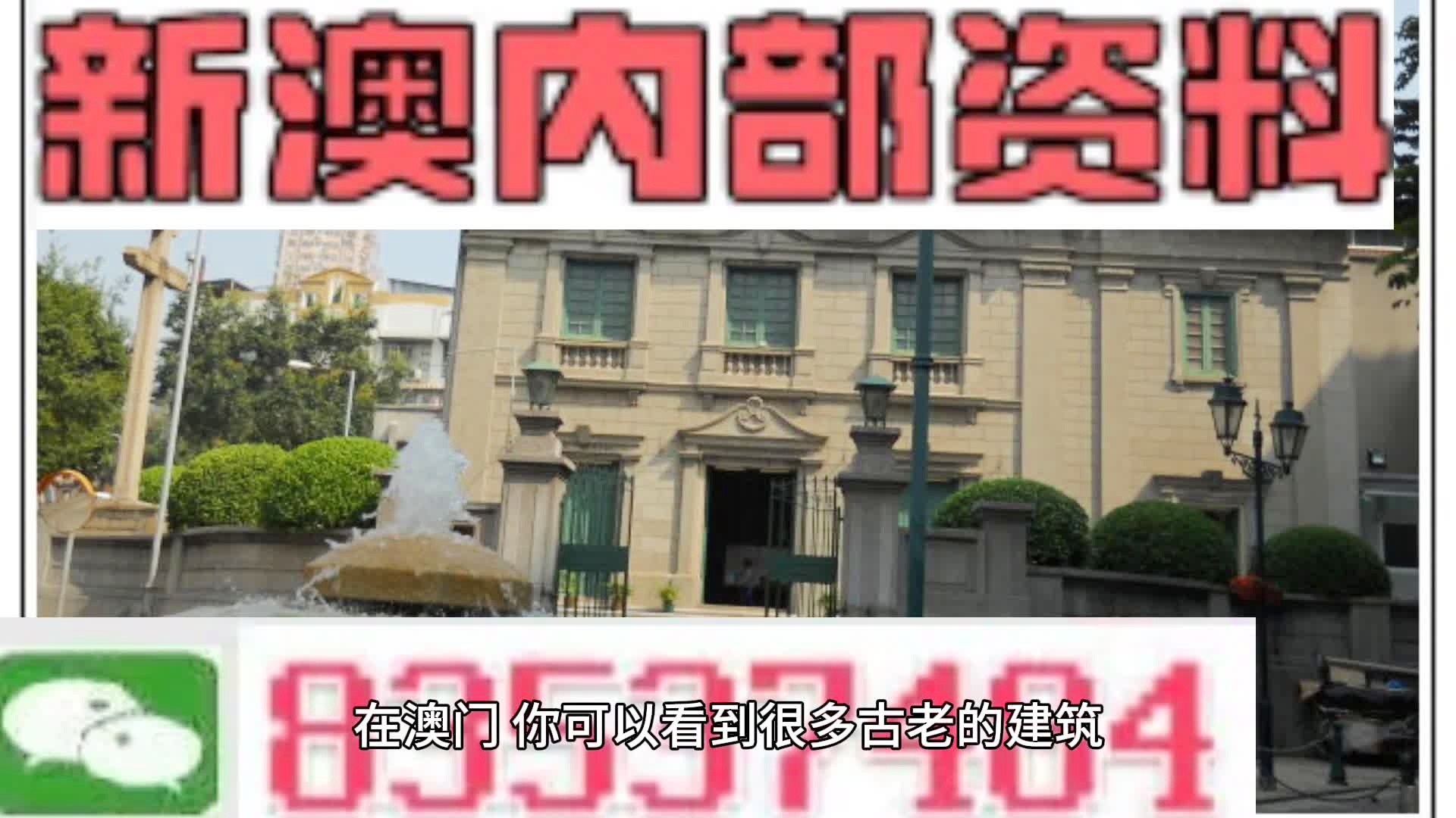 新門內(nèi)部免費(fèi)資料大全，探索知識的寶庫，新門內(nèi)部知識寶庫，免費(fèi)資料大全探索之旅
