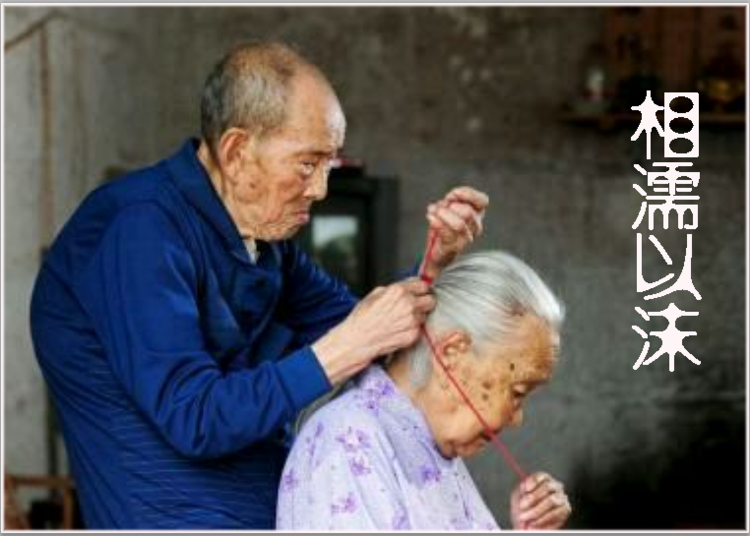 精讀演員李雪健妻子:于海丹如何成為國(guó)寶級(jí)影帝的堅(jiān)實(shí)后盾