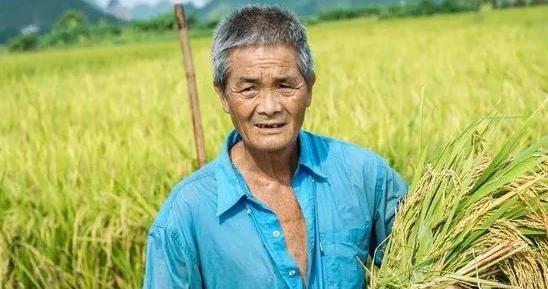 白小姐精準(zhǔn)免費(fèi)四肖深度解析:透視其信息價(jià)值與用戶指南